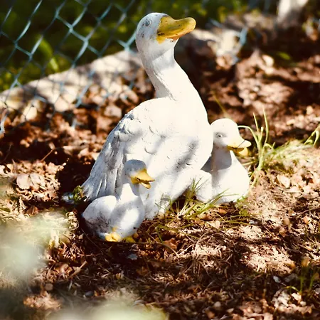 Fuchsbau Vosswinkel Holiday home Arnsberg