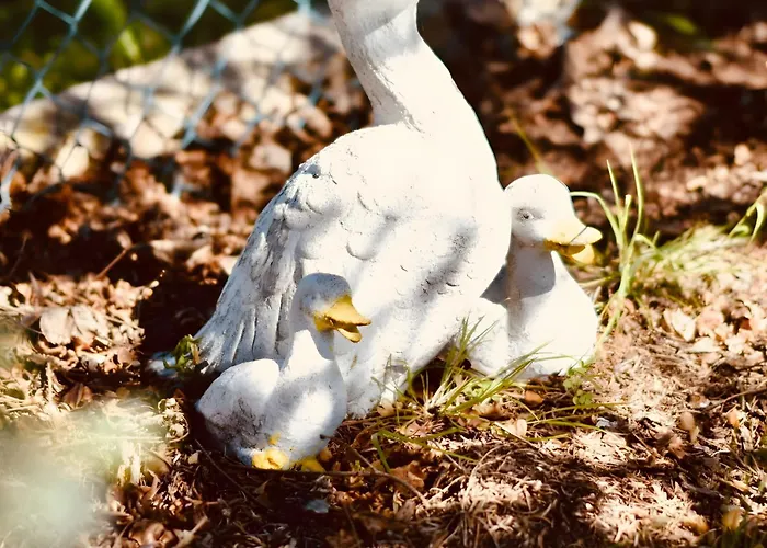 Fuchsbau Vosswinkel Сasa de vacaciones Arnsberg